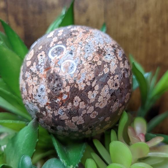 ๐ leopard Jasper Sphere ๐ - Picture 4 of 4